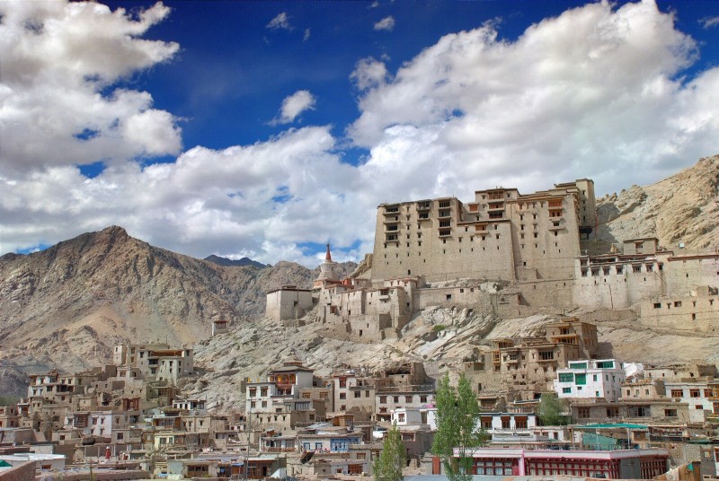 arvisura:lap:india_tibet:leh_palace.jpg