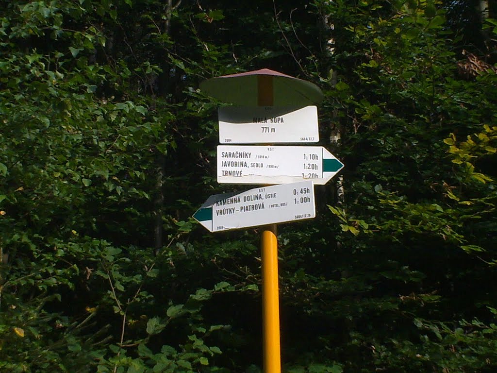 verrel_pecsetelve:4_sztrecsno_medvetor:ruttka-felett-mala_kopa.jpg